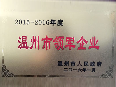 2015-2016年度溫州市領軍企業